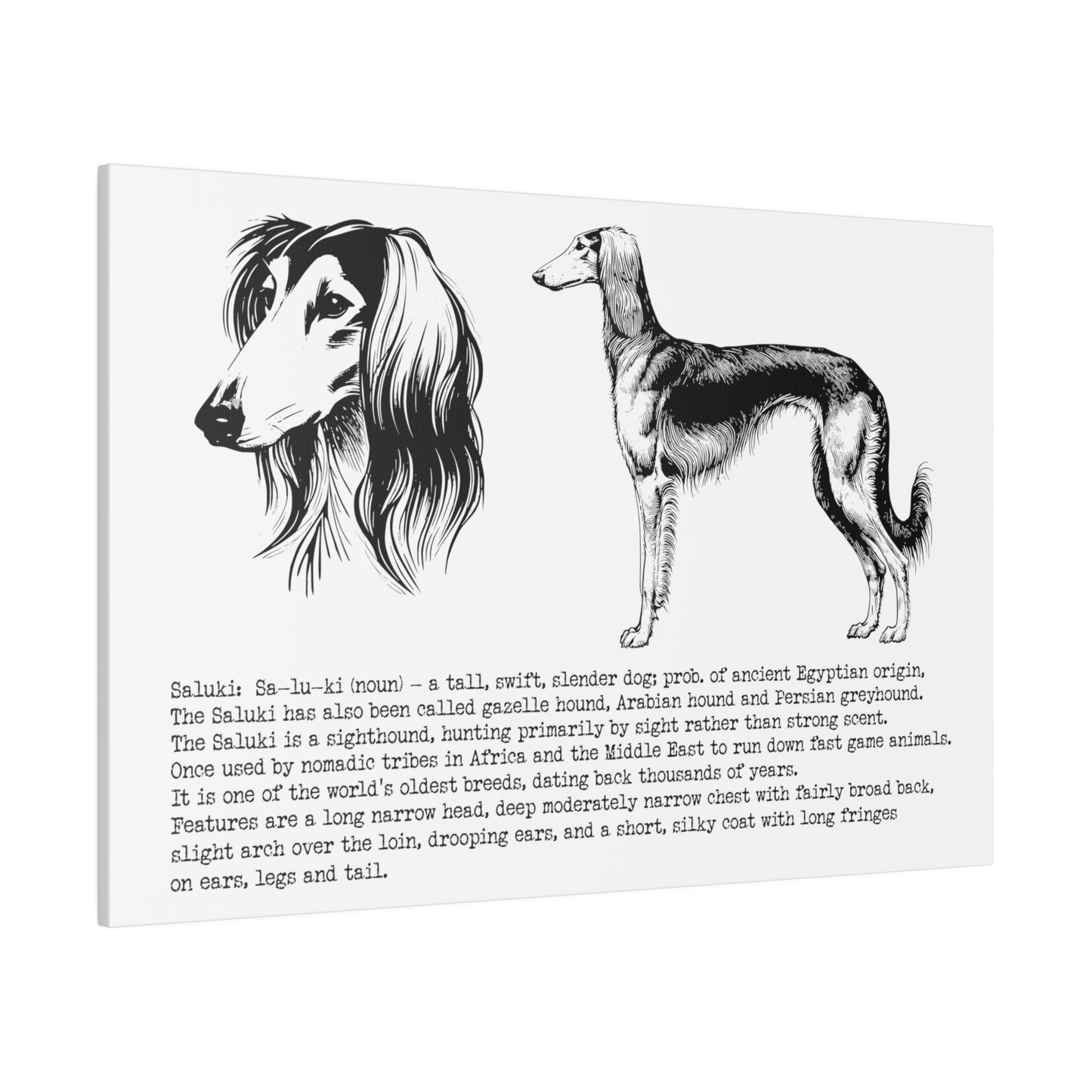 SALUKI in a BLACK INK line art style on a 30" x 20" Matte Canvas landscape frame, Stretched, 0.75"