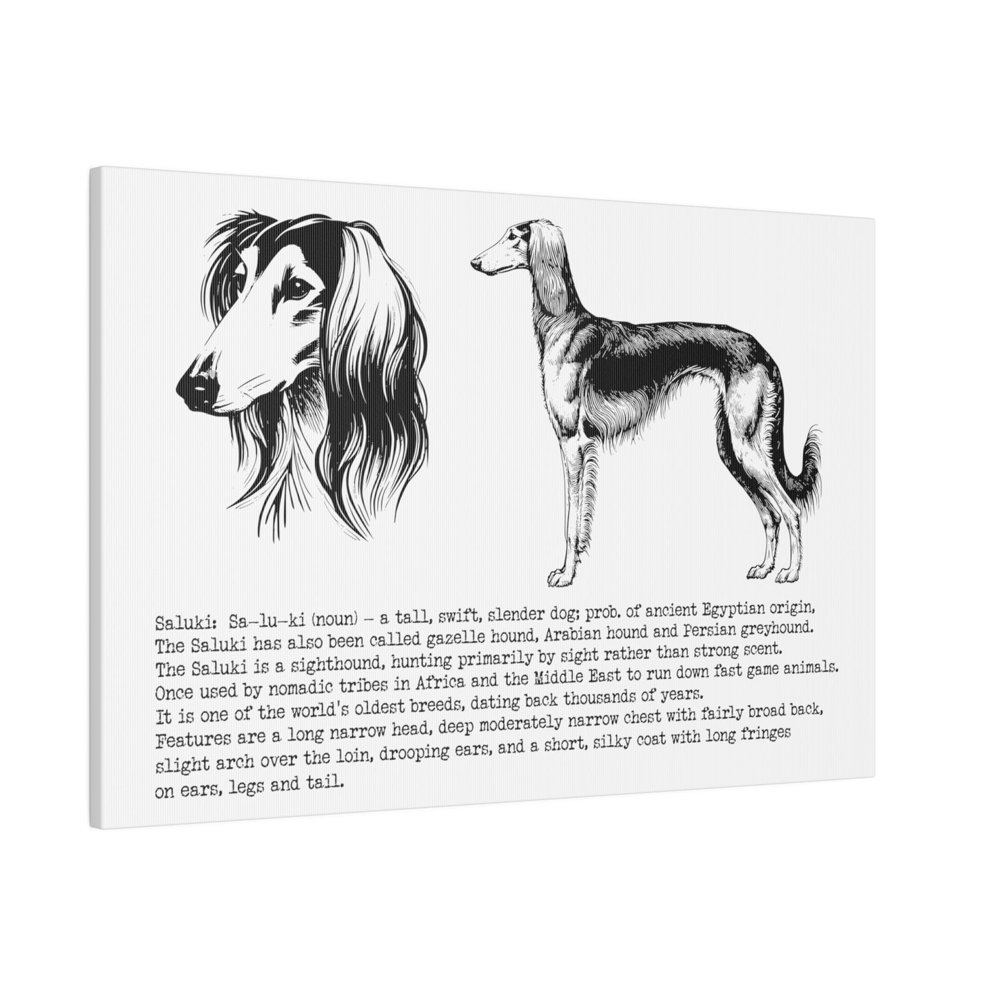 SALUKI in a BLACK INK line art style on a 24" x 16" Matte Canvas landscape frame, Stretched, 0.75"