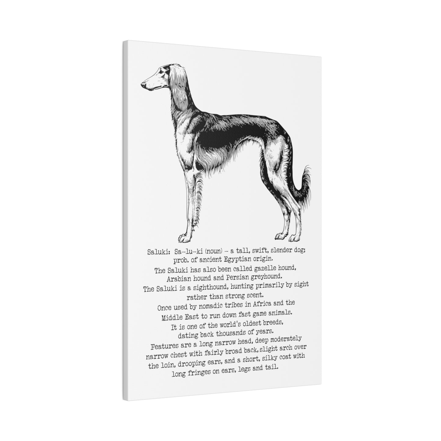 SALUKI in a BLACK INK line art style on a 16" x 24" Matte Canvas portrait frame, Stretched, 0.75"