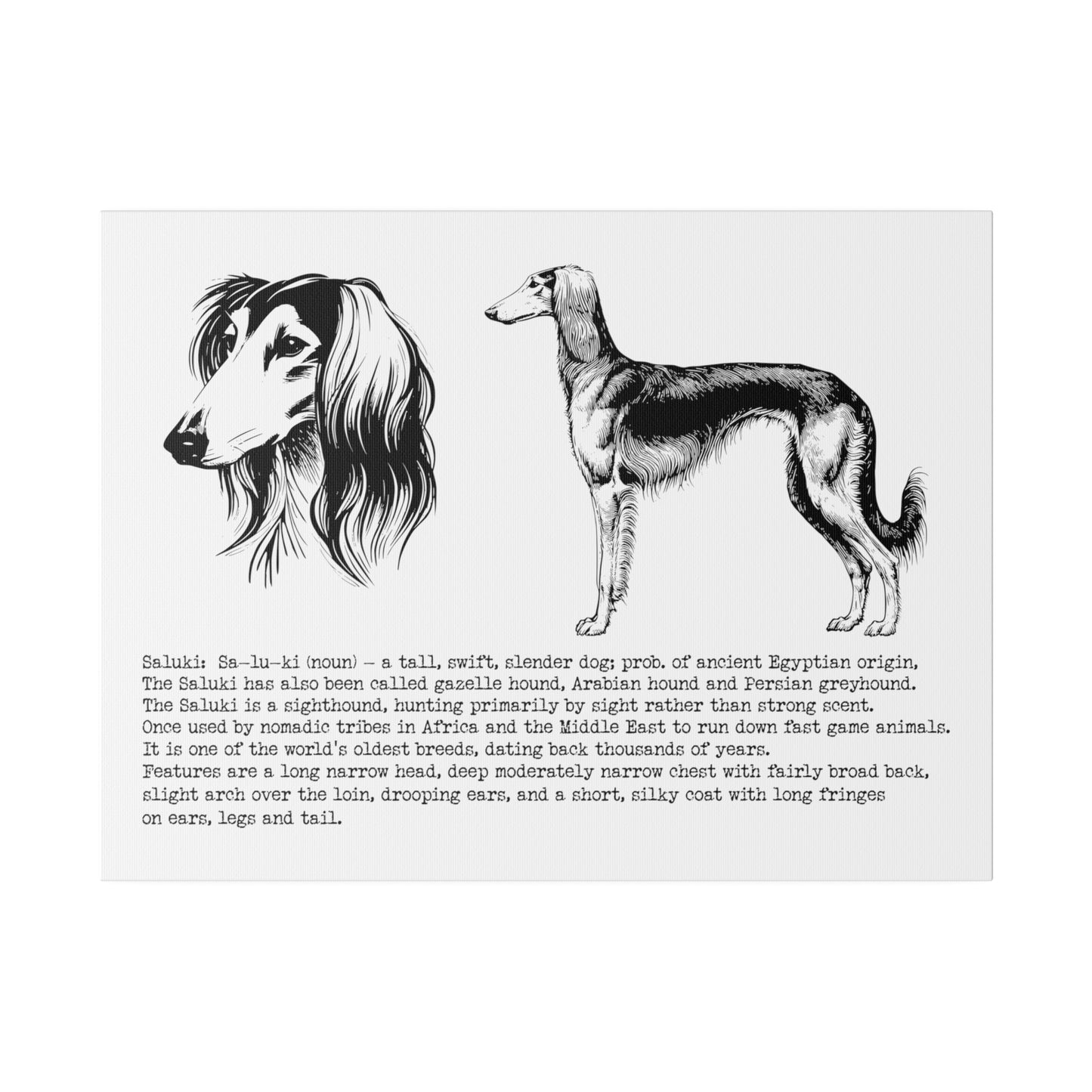 SALUKI in a BLACK INK line art style on a 24" x 18" Matte Canvas landscape frame, Stretched, 0.75"