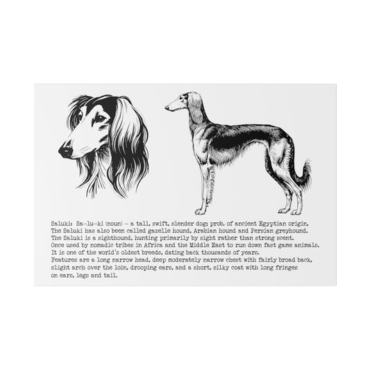 SALUKI in a BLACK INK line art style on a 30" x 20" Matte Canvas landscape frame, Stretched, 0.75"