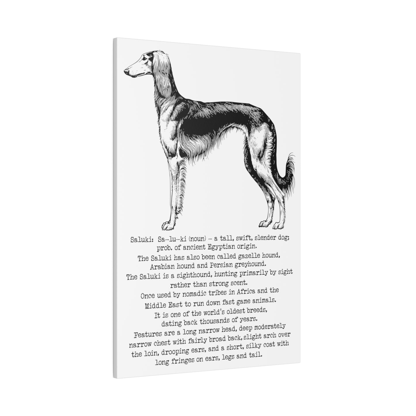 SALUKI in a BLACK INK line art style on a 30" x 20" Matte Canvas portrait frame, Stretched, 0.75"